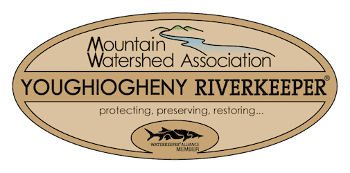Image for Mountain Watershed Association