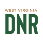 Records Archival Intern